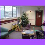 Doctor's Office Tree.jpg